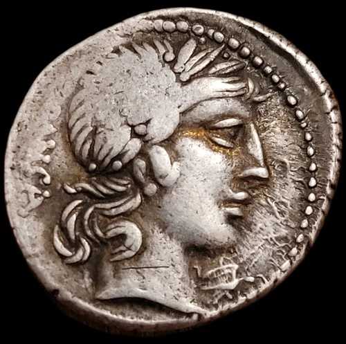シルバーデニール・デ・ビビア 47,520円
