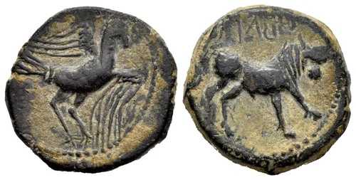 Sc. Hispania. Obulco. Semis. 220-20 a.C.Porcuna ( Ja?n ) . MBC VF+ Copper 7,6 G