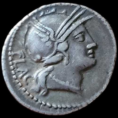 シルバーデニール・デ・ルチリア
