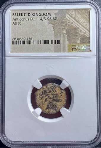 本物のNGC認定 紀元前114～95年 古代セレウコス王国コイン アンティオコス9世 AE18