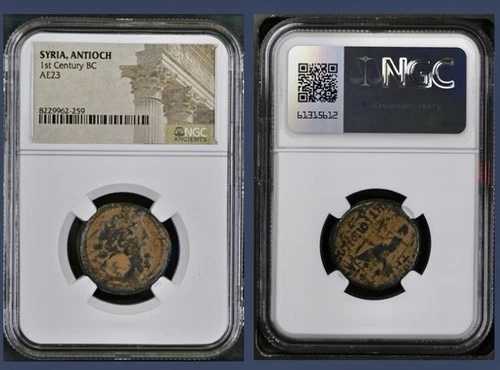古代ギリシャのコイン、紀元前39-38年、NGC、ローマ統治下のアンティオキアのゼウス座像