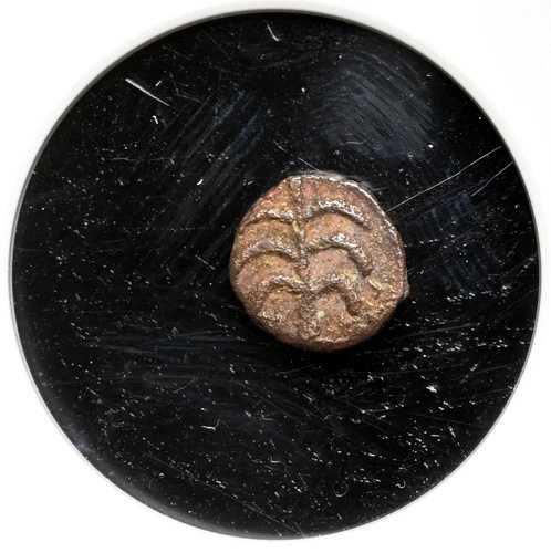 破壊者。擬似帝国貨幣。 440～490年頃。 ? ヌムス、ヤシの木、NGC ファイン