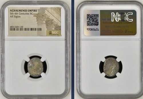 NGC アケメネス朝 紀元前490-475年 貨幣 クセルクセス・ダレイオスの治世 紀元前5-4世紀