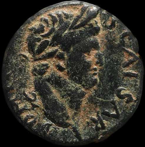 古代ローマのドミティアヌス硬貨 - アンティオキア｜WORLD RESOURCE【QUEEN店】