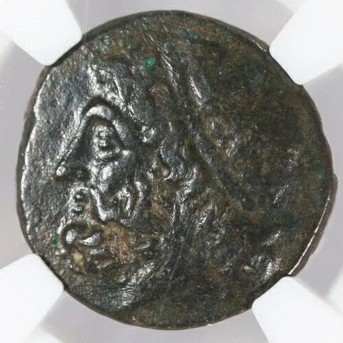 ヒエロン2世 AE18 シチリア シラクサ 古代ギリシャ 青銅貨 紀元前275-215年 NGC Ch F