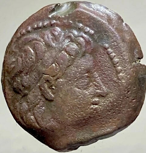 古代ギリシャのセレウコス朝、紀元前128～122年のコイン、アレクサンドル2世、ザビナス・ディカルコン
