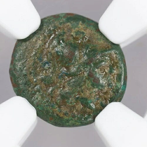 リュシマケイア AE11 ギリシャ・トラキア青銅貨 3世紀頃 NGC VF 37,895円