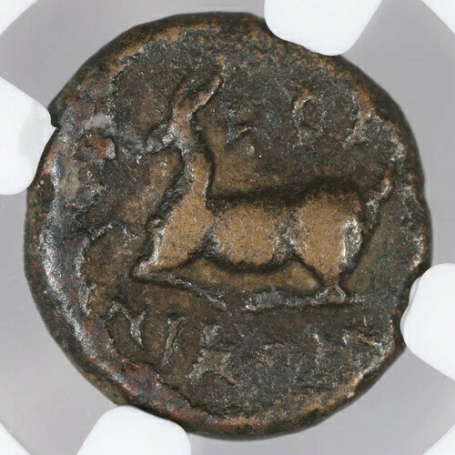 アイゲアイ、ハドリアヌス帝治世下 AE15 ローマキリキア青銅貨 117-138年 - NGC正規品