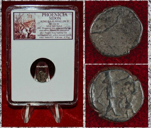 古代貨幣 フェニキア シドン ガレー船王 闘獅子 銀貨 1/16 シェケル