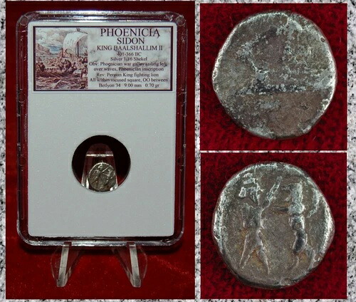古代貨幣 フェニキア シドン ガレー船王 闘獅子 銀貨 1/16 シェケル
