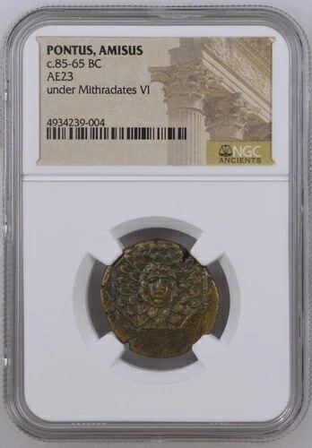 NGC AE23 ミトラダテス6世 紀元前85-65年 古代青銅貨 - ポントゥス・アミソス・ゴルゴン