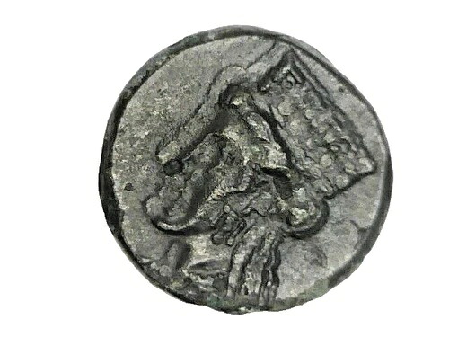 キプロス シティウム ブロンズ 古代王 バールミルク II アフロディーテ ヘラクレス クラブ レア コイン