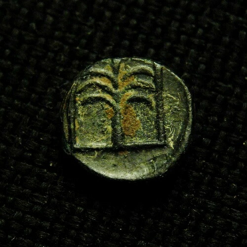 ? Troas Skepsis Forepart Pegasos Rv ヤシの木 0.65 グラム 9mm 紀元前4世紀