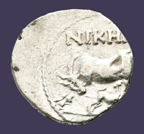 Archaios | ILLYRIA DRACHM 子牛付き牛 / 星型 | i60.03