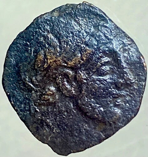 紀元前114-95年 古代セレウコス王国 コイン アンティオコス9世 ゼウス サンダーボルト ニース