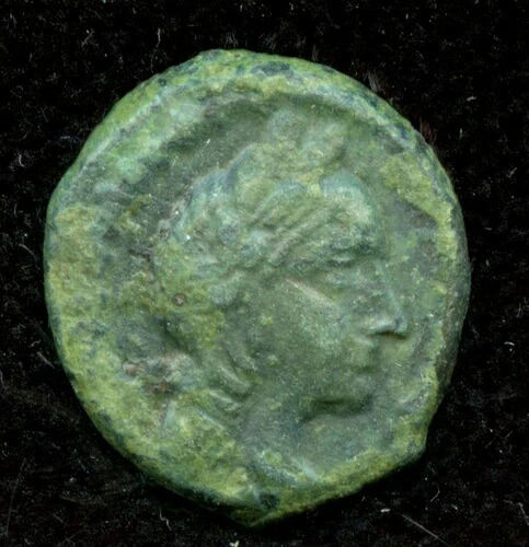 ペトラ (9-40 AD) ナバテア古代コイン - AE-13 アレタス IV C8