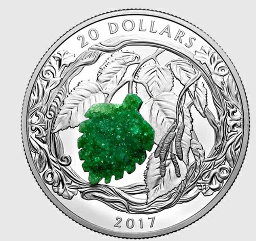 カナダ 2017年 20ドル ブリリアントバーチリーフ（ドゥルージーストーン付き） 1オンス ファイン9999シルバーコイン