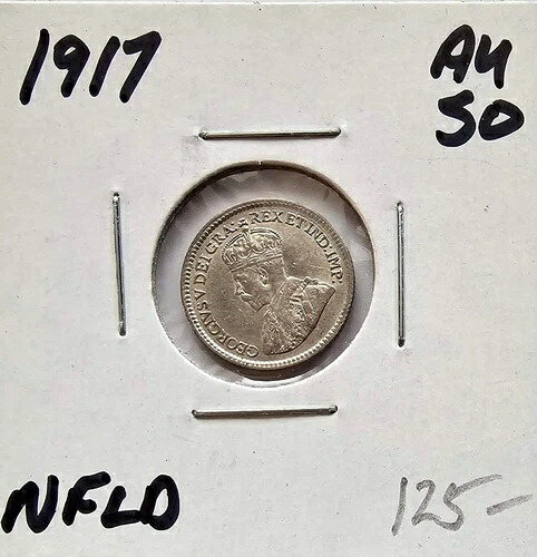 1917C ニューファンドランド 5セント銀貨 KM-13 - ジョージ5世
