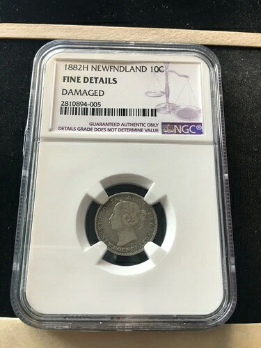 1882H NGC ニューファンドランド、10セント、**詳細良好**