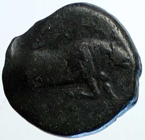 プーリアのARPI 本物の古代275BCアンティークギリシャコイン（雄牛と馬付き） i113418