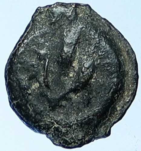 MATTATAYAH マタティアス アンティオゴノス 聖書 エルサレム コイン マティティヤフ ヘン 1164 i109518