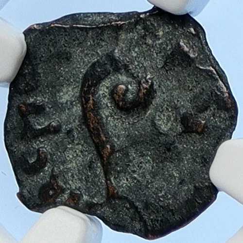 ポンティウス・ピラト ティベリウス エルサレム イエス・キリスト裁判 古代ローマ貨幣 NGC i106172