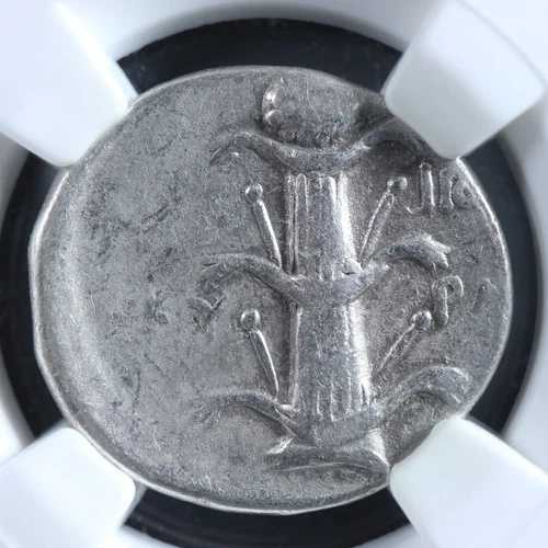 キレネ・キレナイカ AR ディドラム c. -300 ～ -282/-275 NGC VF ゼウス シルフィオン プラント