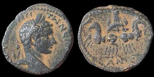 古代ローマのラオディケイア・アド・マレのエラガバルス・デュポンディウス、桂冠像右 108,900円