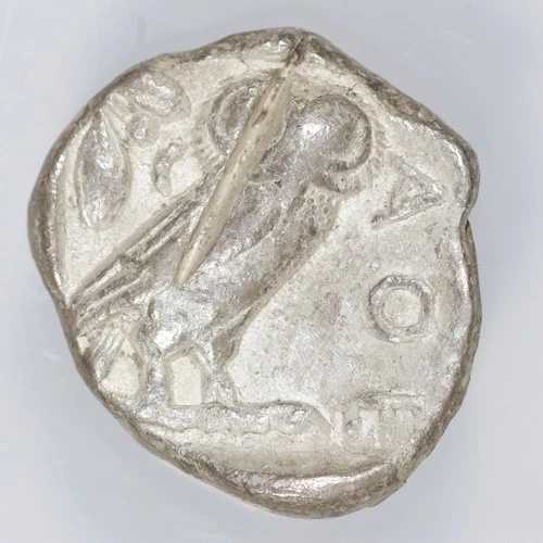 紀元前440-404年頃 古代ギリシャ アッティカ、アテネ 銀のフクロウ テトラドラクマ テストカット｜WORLD RESOURCE【QUEEN店】
