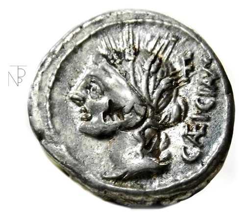古代ローマ共和国 (カッシア・カエキアヌス) デナリウス・ケレ-ブオイ-