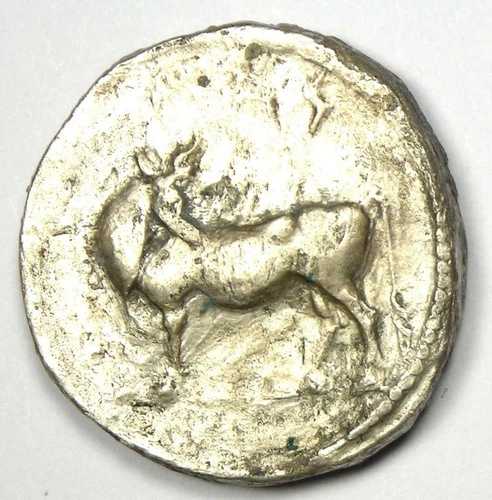 ギリシャ・ルカニア・ラウスARスタテル人頭雄牛貨幣（紀元前480-460年） - NGC VF認定