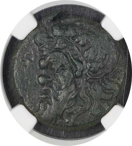ボスポラス海峡 NGC VF 5/5 3/5 パンティカパイオン - NGC VF 5/5 3/5 - AE 13.48g 340-325 - 028
