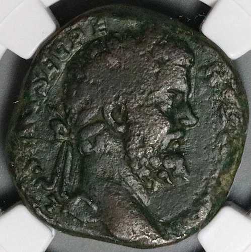 194 NGC VG セプティミウス セウェルス セステルティウス レア ヘラクレス バッカス ニジェール (23110801C)