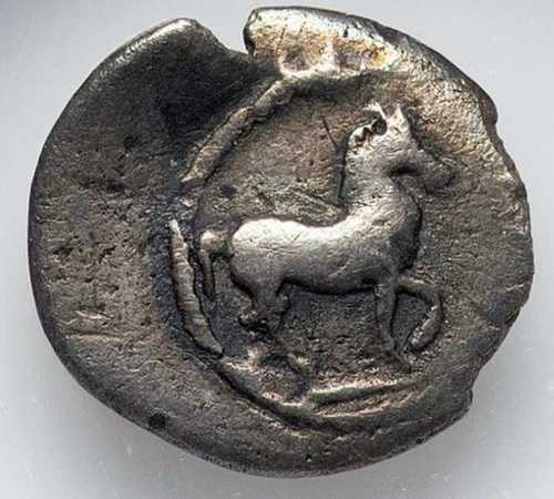 テッサリア・ファルカドン 紀元前5～4世紀、馬の銀製オボル古代ギリシャ貨幣、NGC