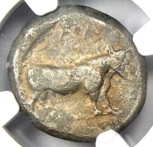 ギリシャ・ルカニア・ラウスARスタテル人頭雄牛貨幣（紀元前480-460年）。NGC認定ファイン