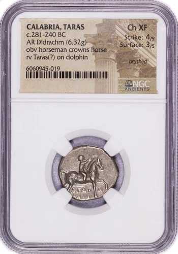 紀元前281-240年 カラブリア タラス AR ディドラクマ NGC アンシエンツ チョイス XF 4/5 3/5 ブラッシュ