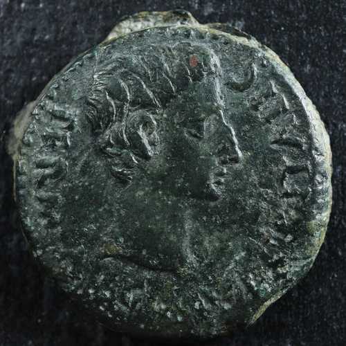 アウグストゥス AE As Italica Hispania -27 to 14 RPC 60 ローマ人の天才|WORLD RESOURCE【QUEEN店】