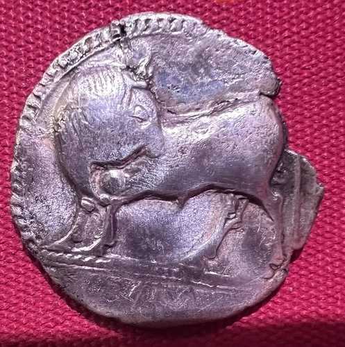 古代ルカニア・シバリス銀製スタテル 紀元前550-510年 より古い希少タイプ