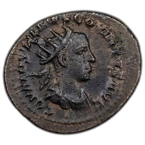 古代ローマ 西暦251年 ホスティリアヌス・アントニニアヌス コイン RIC #204b 4.17g 24mm｜WORLD RESOURCE【QUEEN店】