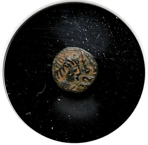 オストゴート族。 Baduila、AD 541-552、AE Nummus、DN REX、NGC Choice VF
