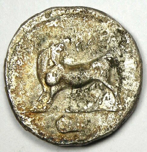 ギリシャ・ルカニア・ラウスARスタテル人頭雄牛貨幣（紀元前480-460年） - NGC Choice VF