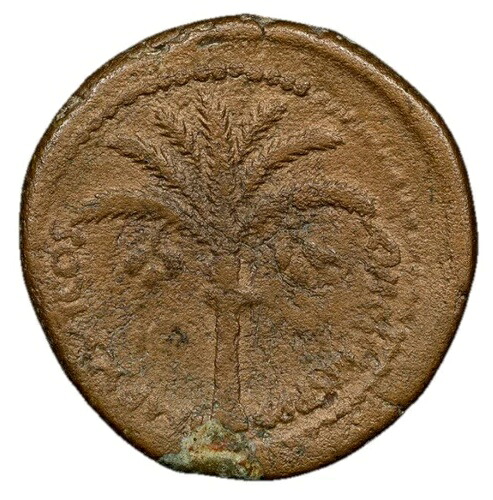 ユダヤ ドミティアヌス帝 81-96 年、5/5 AE 28 巨大 カイサリア ローマ帝国 カプタコイン、NGC F