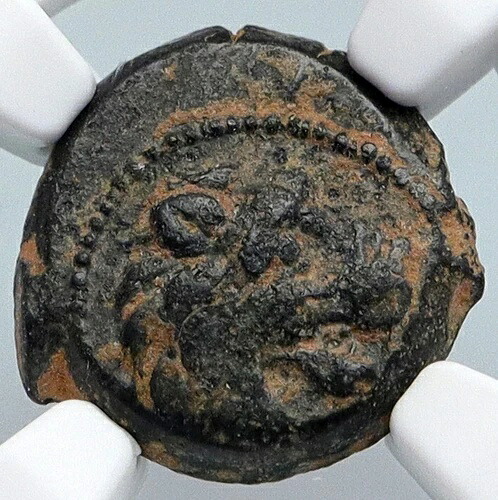 アンティオコス7世 シデテス 紀元前138年 セレウコス朝 古代ギリシャ貨幣 ネメアの獅子 NGC i90003
