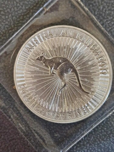 1オンス シルバーラウンド - オーストラリアンカンガルー - パースミント｜WORLD RESOURCE【QUEEN店】 42,185円
