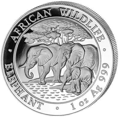 2013年ソマリアアフリカゾウ1オンス純銀貨
