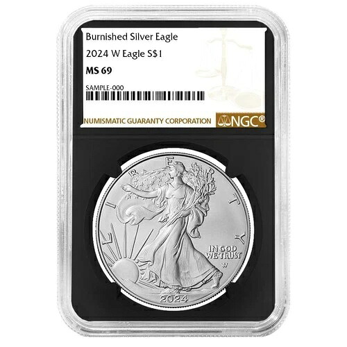 2024-W $1 1オンス バーニッシュド アメリカン シルバー イーグル NGC MS69 ブラウンラベル レトロコア 39,325円