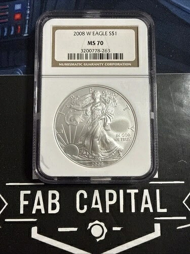 2008 W磨き済 シルバーイーグル MS70 NGC ブラウンラベル-