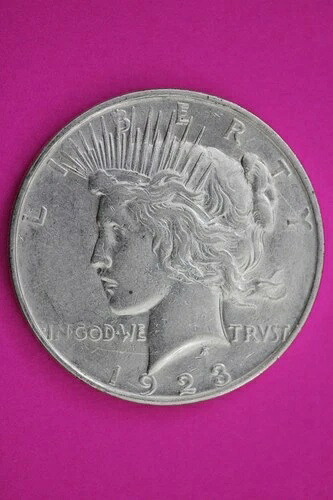 1923年 D ピース シルバー ドル リバティ コイン 正規品 アメリカ販売店 2037 39,325円