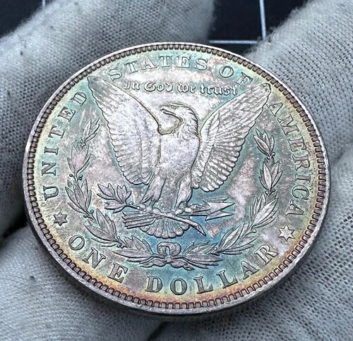 1887年 P モルガン シルバードル 美しい色調