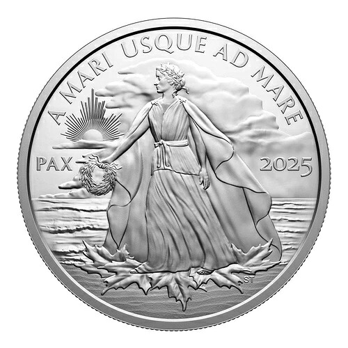 2025年 レディピースドル PAX プルーフ 純銀 1オンス .9999 カナダ銀貨|WORLD RESOURCE【QUEEN店】